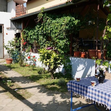 Etnobubi Appartement Novi Sip Buitenkant foto