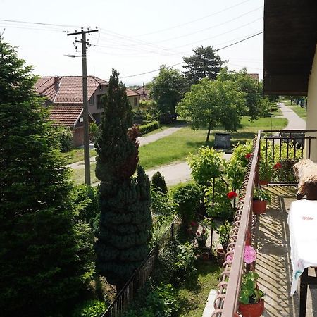 Etnobubi Appartement Novi Sip Buitenkant foto