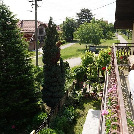 Etnobubi Appartement Novi Sip Buitenkant foto