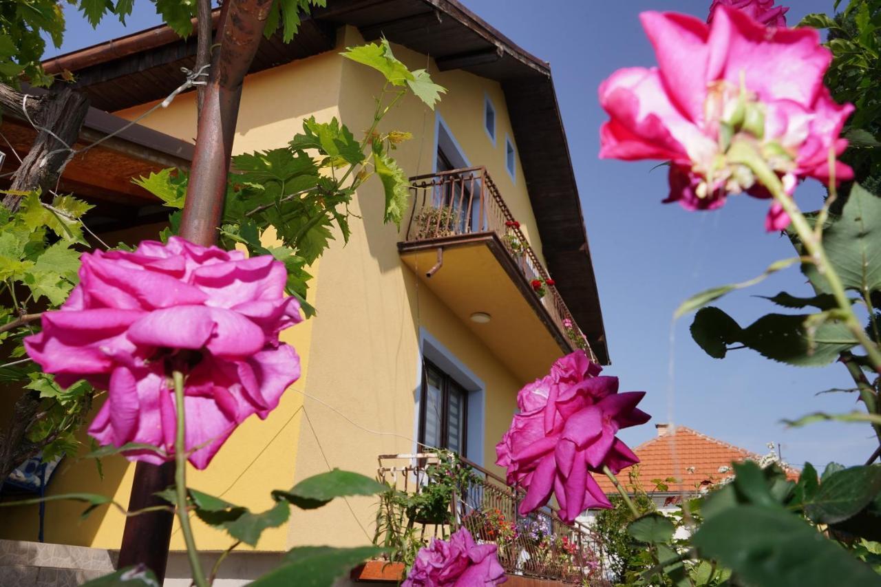 Etnobubi Appartement Novi Sip Buitenkant foto