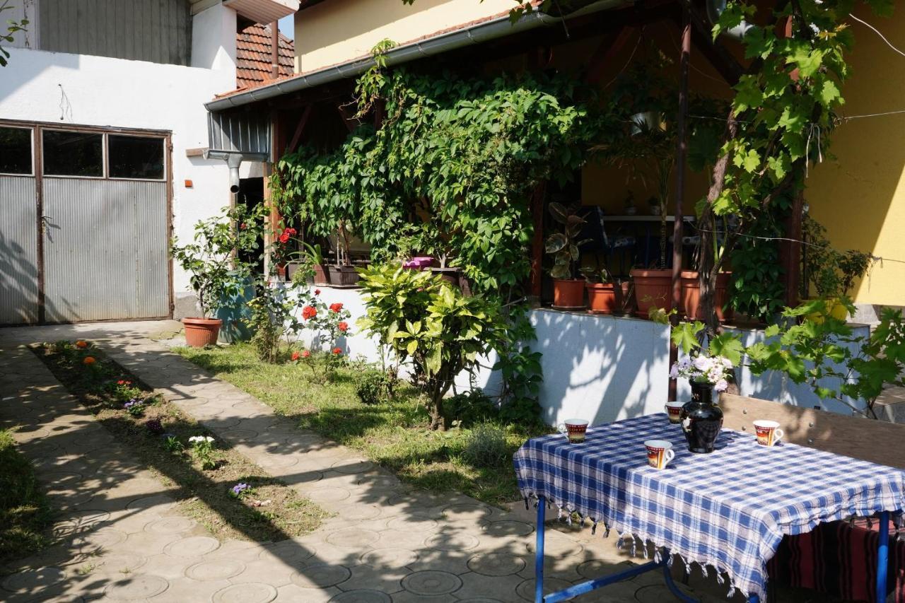 Etnobubi Appartement Novi Sip Buitenkant foto