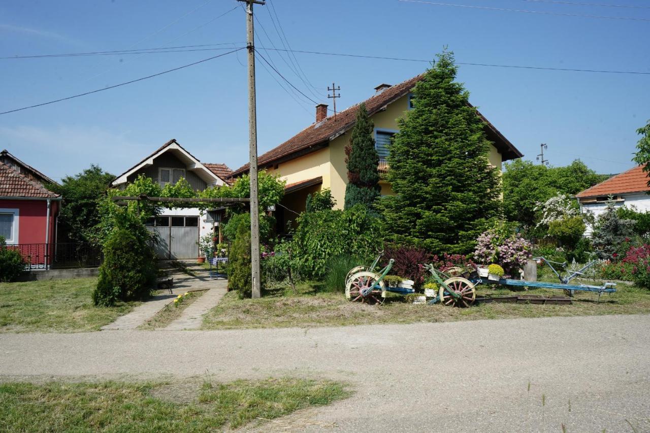 Etnobubi Appartement Novi Sip Buitenkant foto