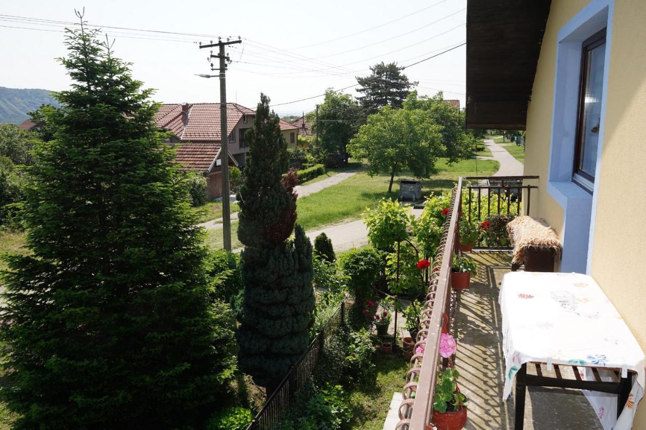 Etnobubi Appartement Novi Sip Buitenkant foto