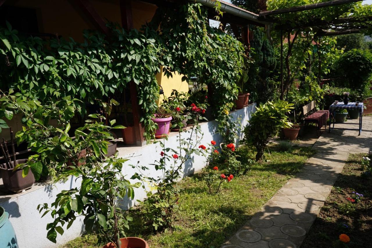 Etnobubi Appartement Novi Sip Buitenkant foto