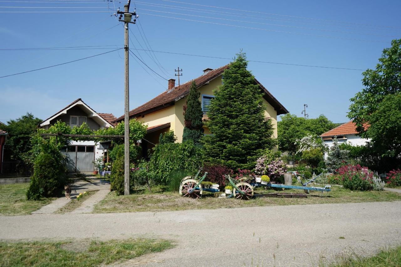 Etnobubi Appartement Novi Sip Buitenkant foto