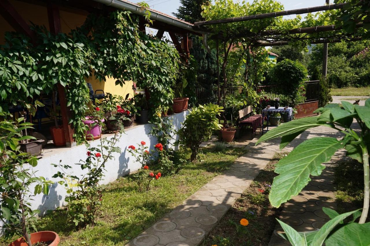Etnobubi Appartement Novi Sip Buitenkant foto