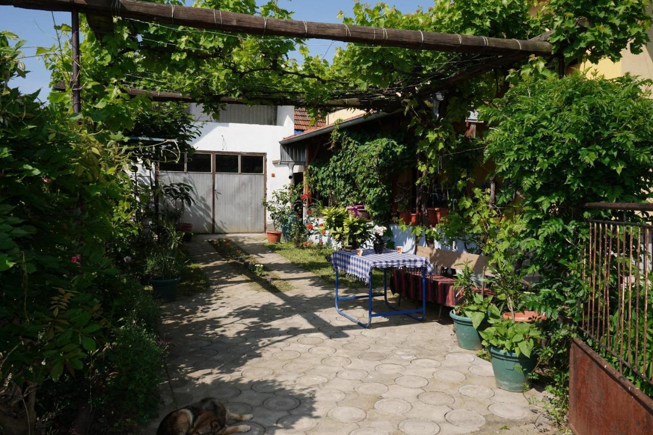Etnobubi Appartement Novi Sip Buitenkant foto