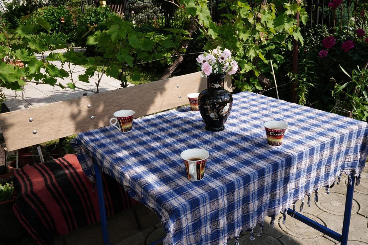 Etnobubi Appartement Novi Sip Buitenkant foto