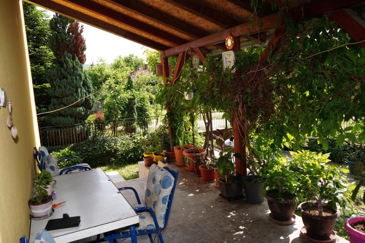 Etnobubi Appartement Novi Sip Buitenkant foto