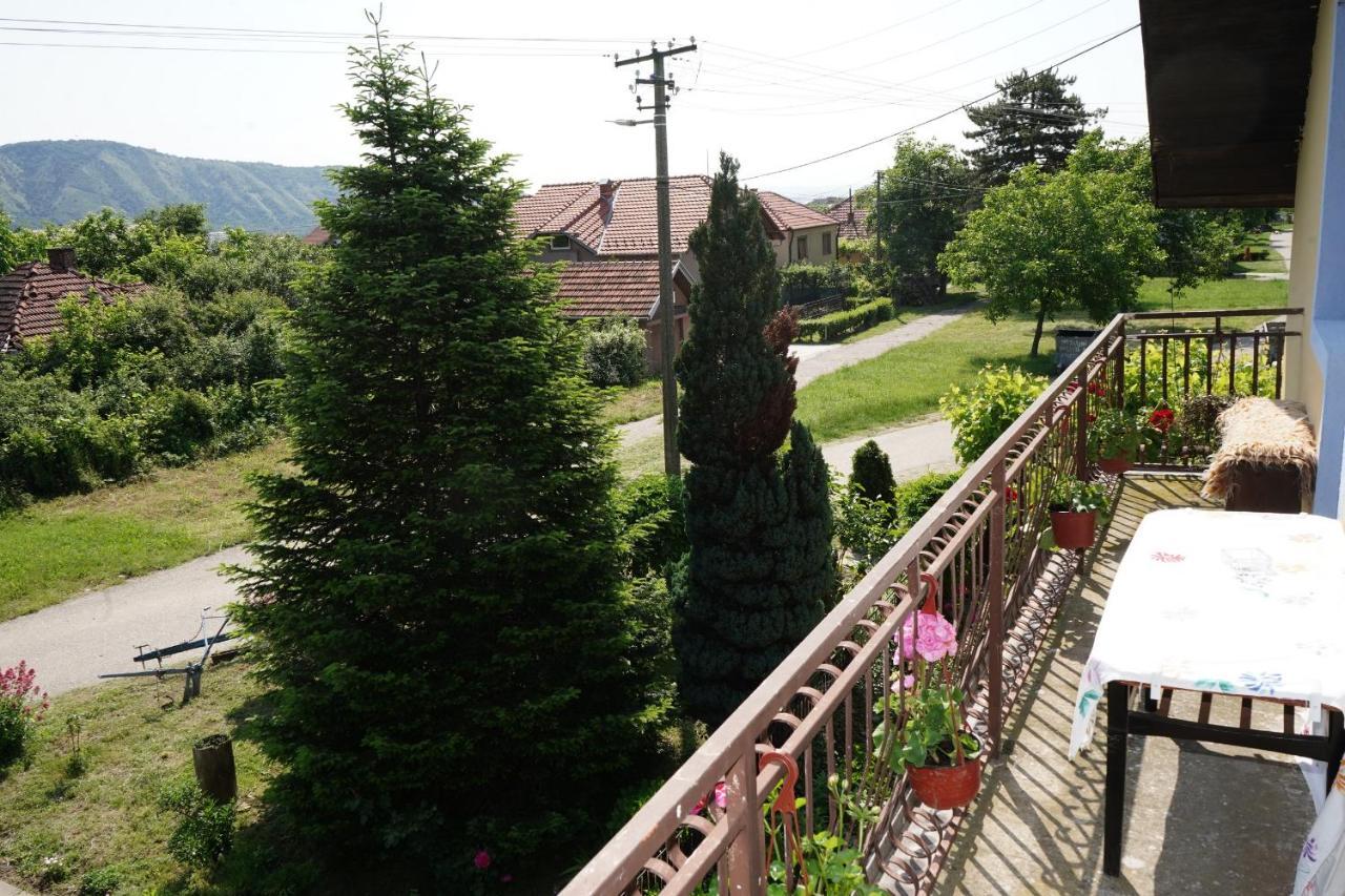 Etnobubi Appartement Novi Sip Buitenkant foto